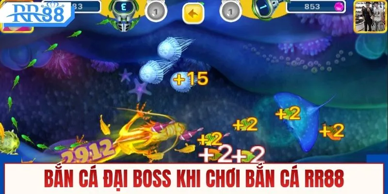 Bắn Cá RR88 - Săn Cá Dễ Dàng, Thắng Siêu Siêu Đậm