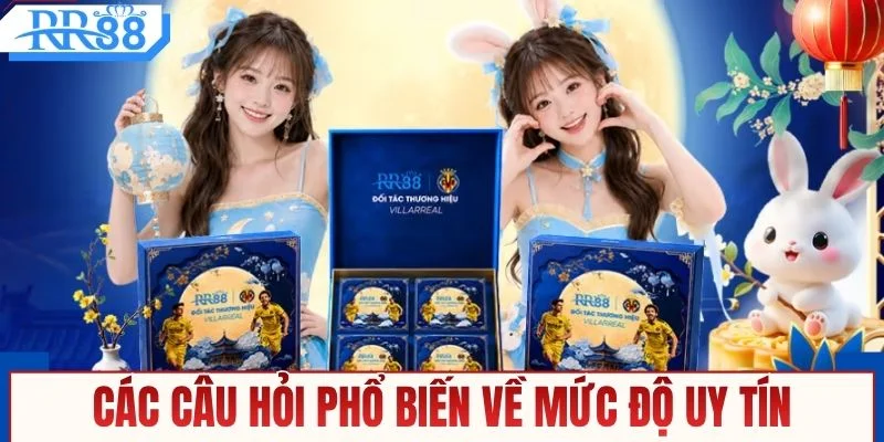 Những Câu Hỏi Thường Gặp RR88 - Cẩm Nang Cho Hội Viên