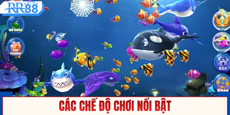 Bắn Cá Long Vương - Chiến Thuật Giúp Gom Xu Cực Nhanh