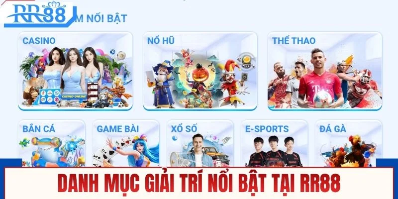 Những Câu Hỏi Thường Gặp RR88 - Cẩm Nang Cho Hội Viên