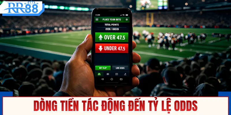 Kèo Bóng Đá Trực Tuyến - Cách Nhận Diện Kèo Dụ Nhà Cái