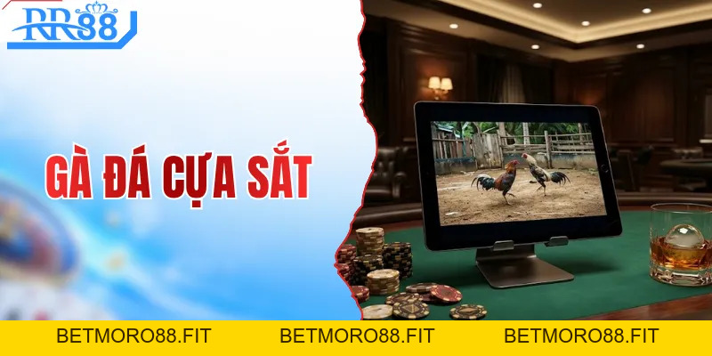 Gà Đá Cựa Sắt - Xem Trực Tiếp Thomo Với Kèo Cược Nảy Lửa