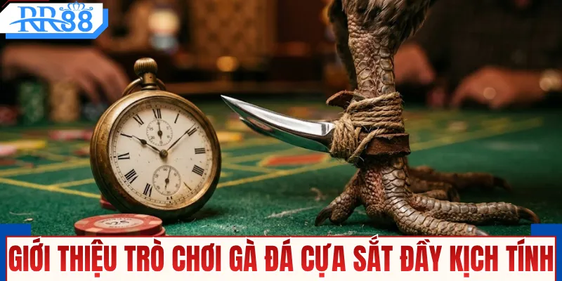 Gà Đá Cựa Sắt - Xem Trực Tiếp Thomo Với Kèo Cược Nảy Lửa
