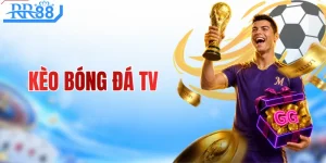 RR88 🎯Trang Chủ Casino Hấp Dẫn | Link Đăng Ký 2026