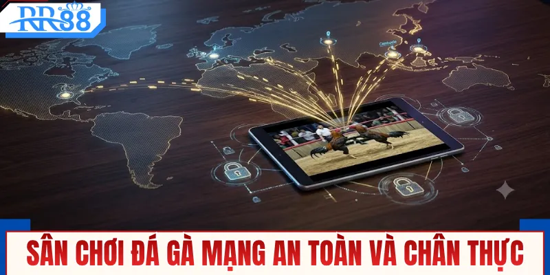 Đá Gà Mạng Thomo Kịch Tính Cùng RR88 An Toàn Tuyệt Đối