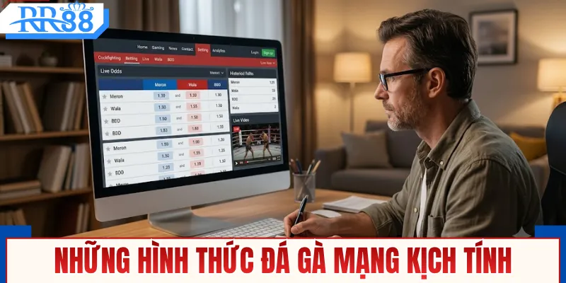Đá Gà Mạng Thomo Kịch Tính Cùng RR88 An Toàn Tuyệt Đối